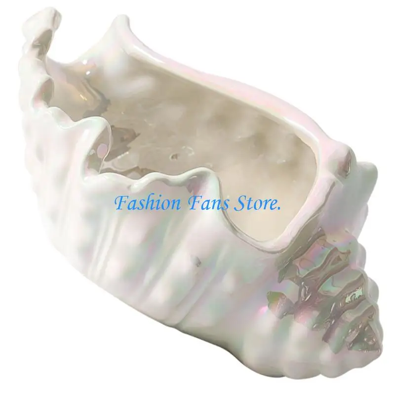  Conch Styles Ceramic Dish for Accessories Storage and Presentation
