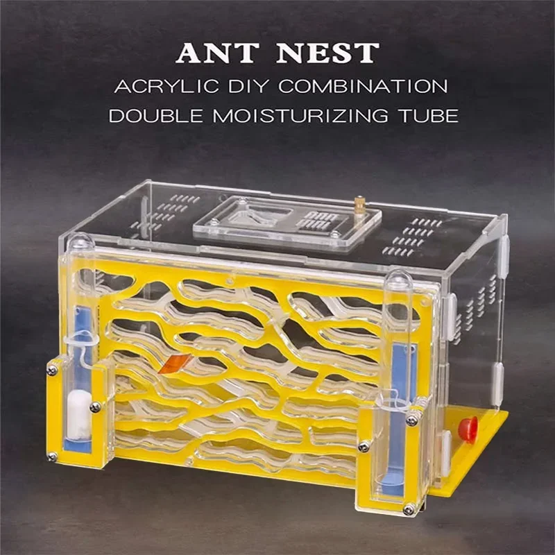 

Ant 1231 Acrylic Ant Castle with Dual Hydration System - 19.5cm Ant Farm with Feeding Area & Light-Blocking Design