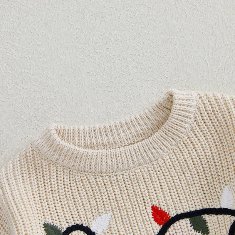 RUEWEY 0 to 3 Years Christmas Baby Girl Boy Knit Sweater Autumn Winter Clothes Long Sleeve O Neck Light Embroidery Pullover