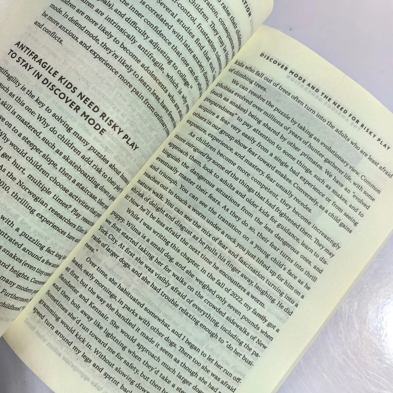 Bview Art The Anxious Generation: NYT Bestseller on Digital Age Anxiety & Mental Wellness Guide - Image 3
