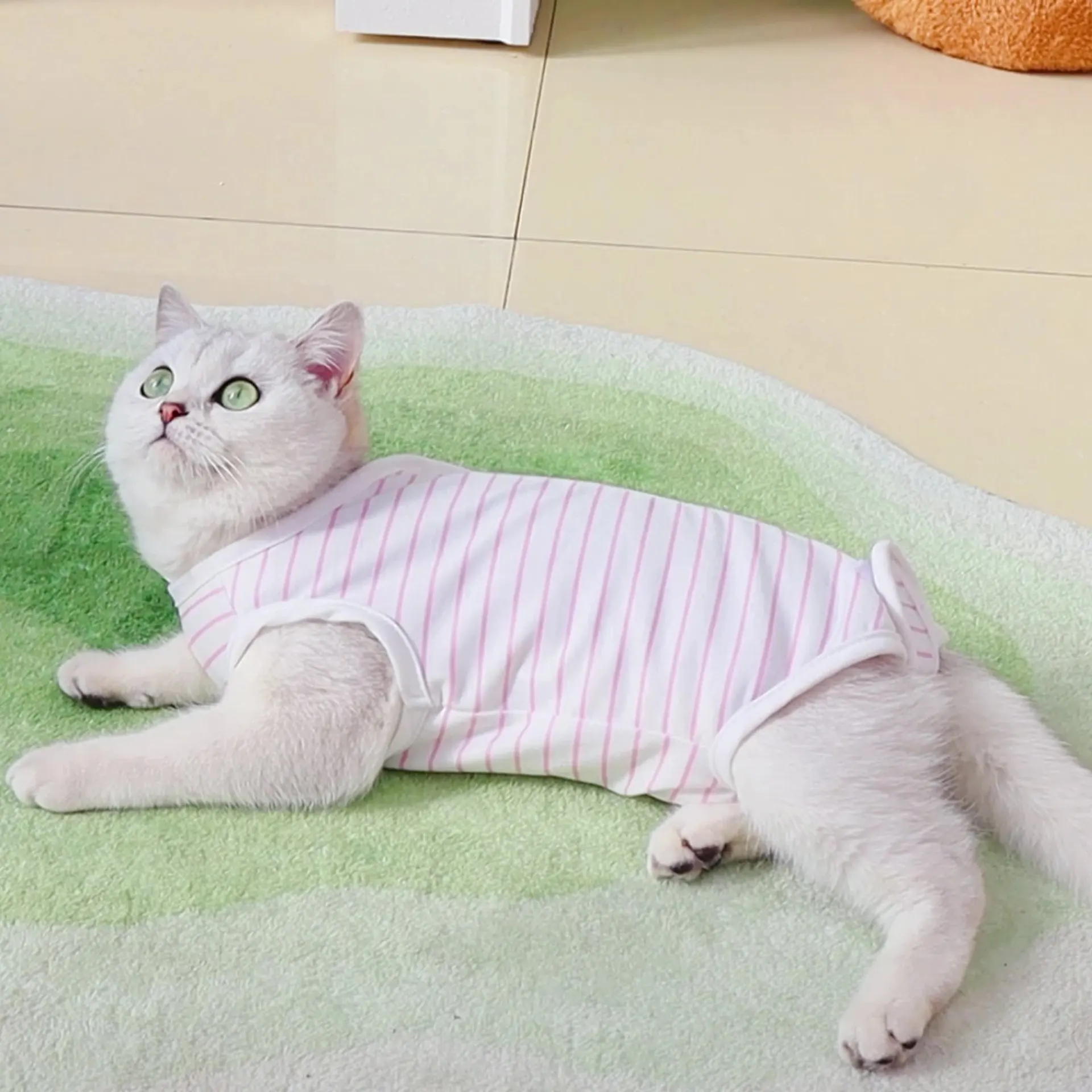 

Post-Op Spay/Neuter Clothing Velcro 360° Anti-Breakaway Adjustment Breathable Anti-Licking Shirt For Male And Female Cats