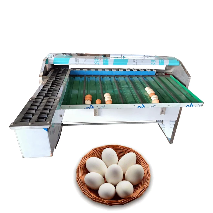 Grading Egg Sorting Machine