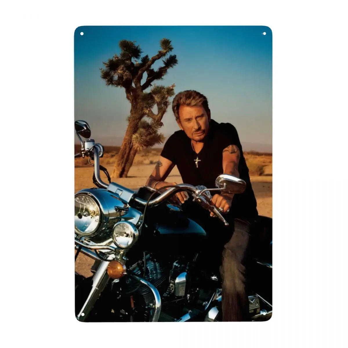 French Rock Singer … - image