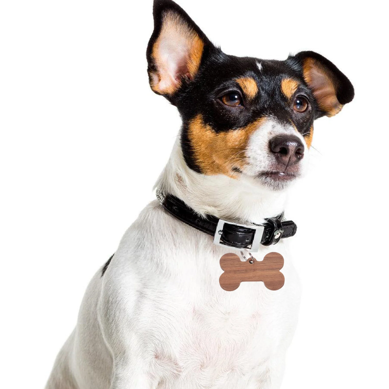 

3 Pcs Pet Bone Dog Tag Name Tags Personalized for Pets Collar Slide- Plate Wooden