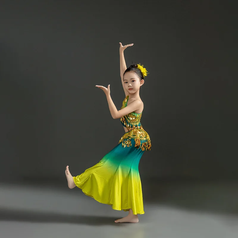 The New Dai Dance Performance Dress Wraps The Buttocks and Gradually Changes The Fishtail Practice Skirt for Girls