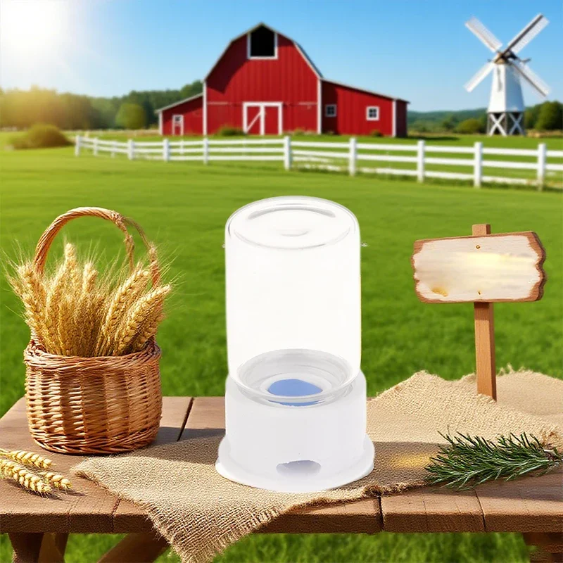 12-20 مللي النمل مزرعة وعاء مياه النمل مزرعة المياه برج النمل وعاء مياه أنثيل وعاء الماء نافورة الماء الزواحف #5