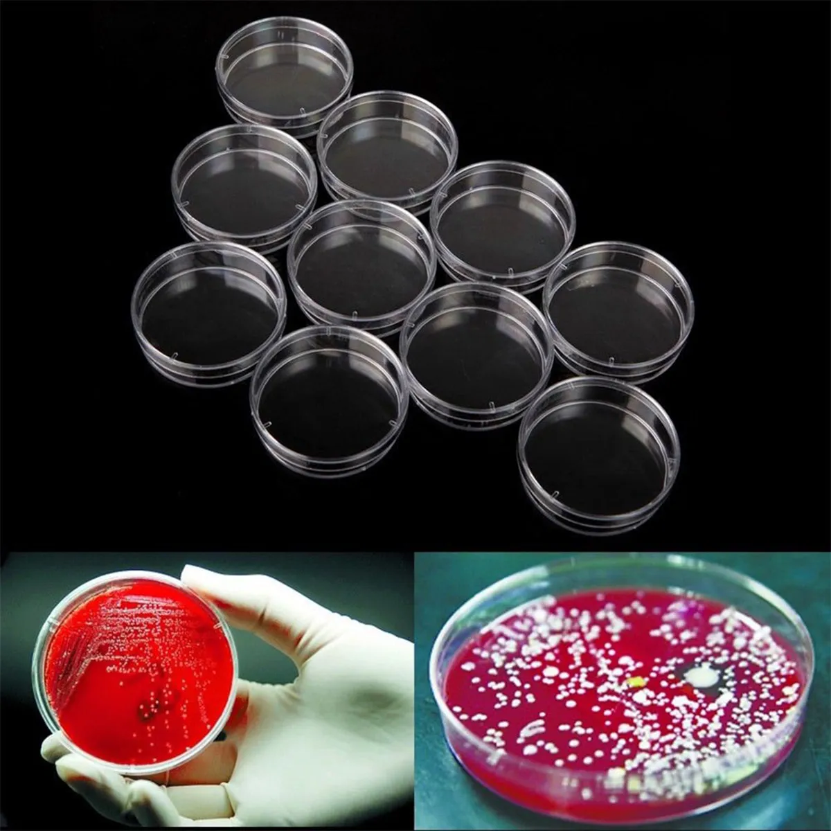 

20Pcs 100Mm Plastic Petri Dish with Lid Sterile Premium Material Ergonomic Design for Laboratory Bacterial Culture Experiments