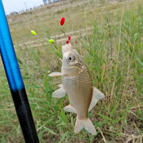 60 पीस/10 सेट फिशिंग फ्लोट 6 इन 1 स्ट्रिंग टाइप सेवन स्टार फ्लोट फोम स्पेस बीन फिशिंग लाइन स्टॉपर बॉय टैकल एक्सेसरीज 10 best sales स्लिप बॉबर - №5