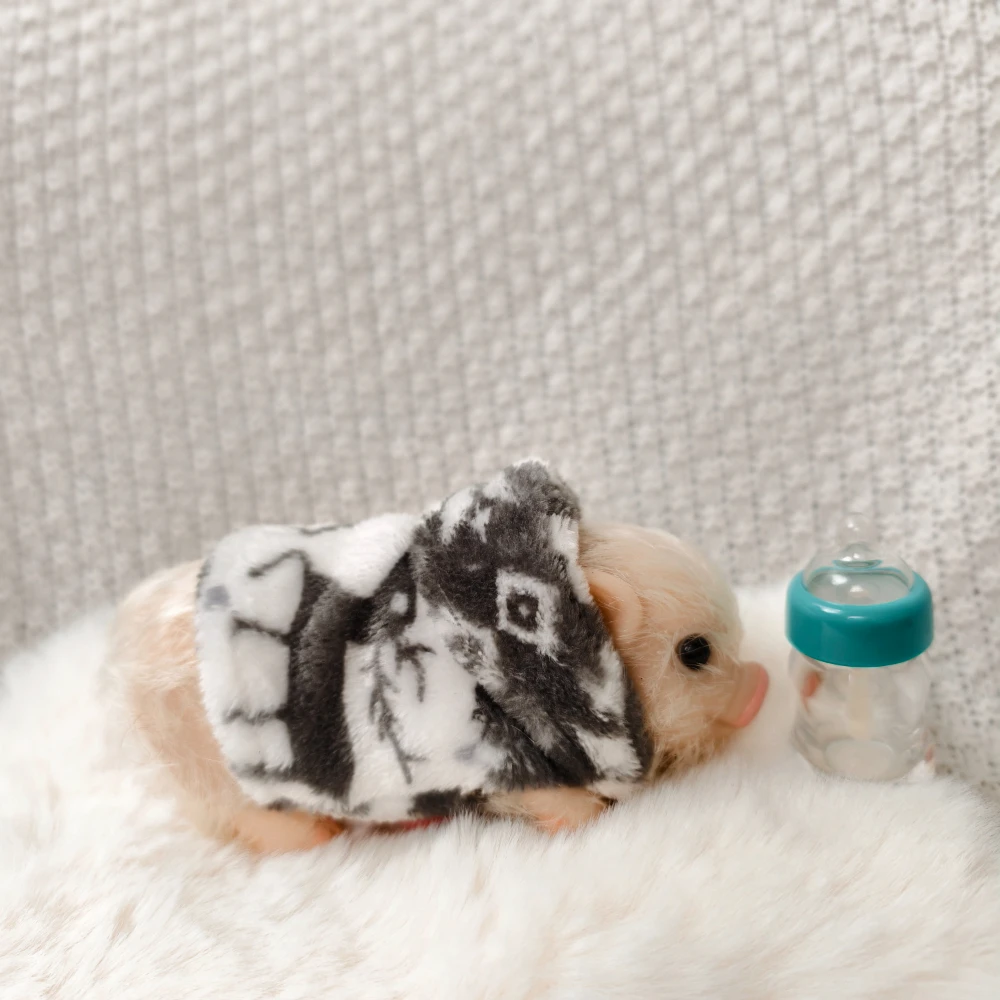 ตุ๊กตาหมูซิลิโคนขนาด 5 นิ้ว น่ารัก นุ่มนิ่ม เหมือนจริง พร้อมอุปกรณ์เสริม ตุ๊กตาหมูเหมือนจริงสำหรับเด็กแรกเกิด ของเล่นคลายเครียด ของขวัญ