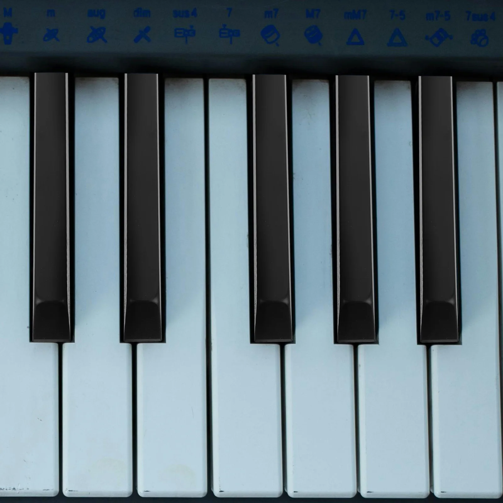 

5 Pcs Piano Black Key Accessories Replacement Keyboard Major Music Plastic Stickers for Beginners