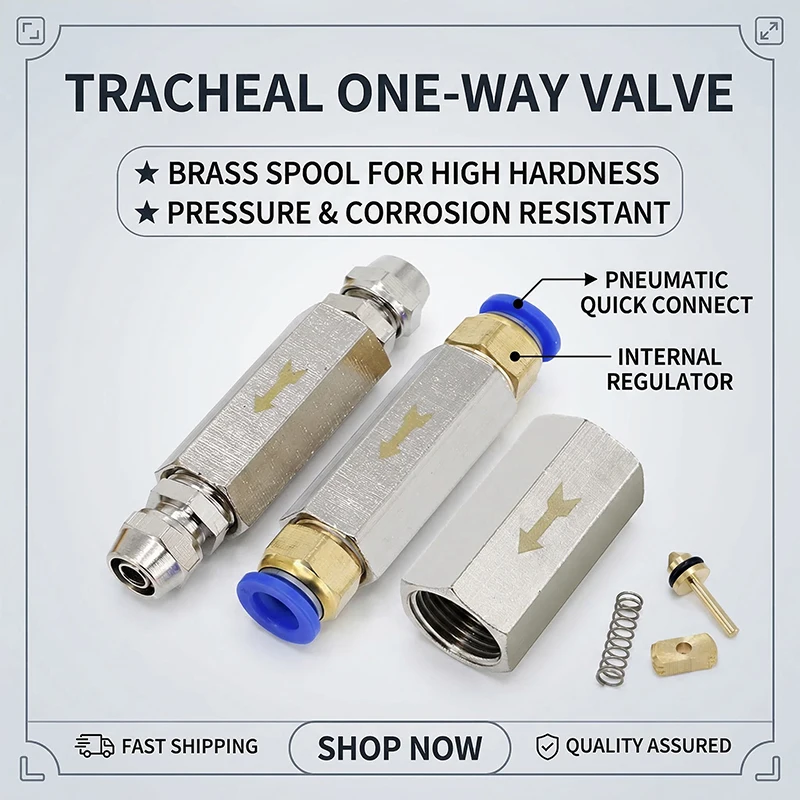 Pneumatic Check Valve 6mm 8mm 10mm 1/4 OD Hose -One Way Valve Air Gas Single Way Brass Valve Air Compressor Pipe Fitting Adapter