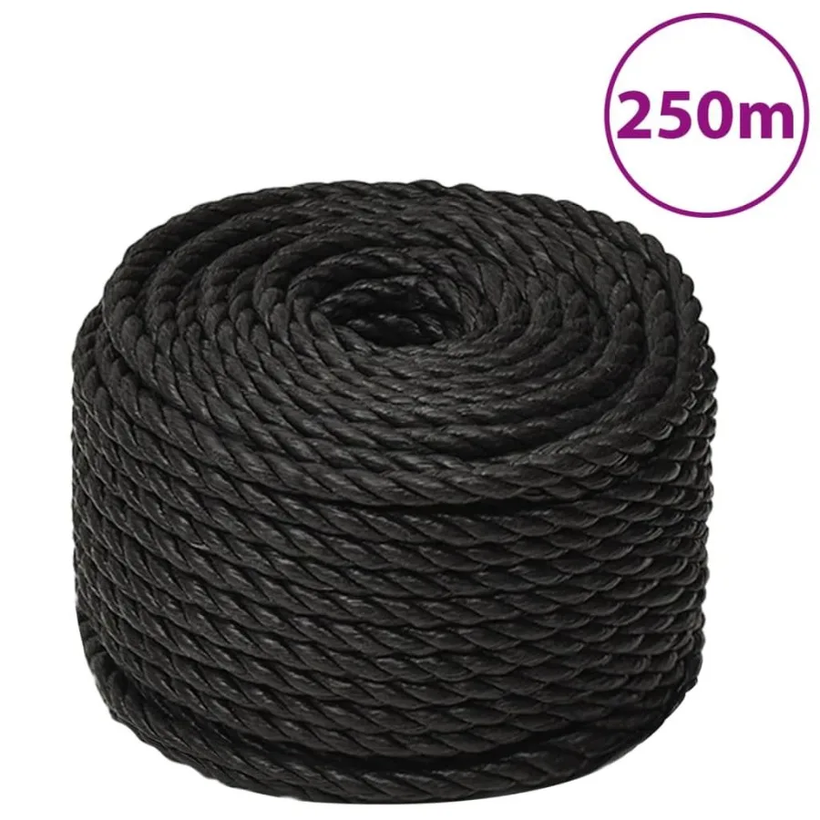 

Work Rope Black 0.39 820.2 ' Polypropylene