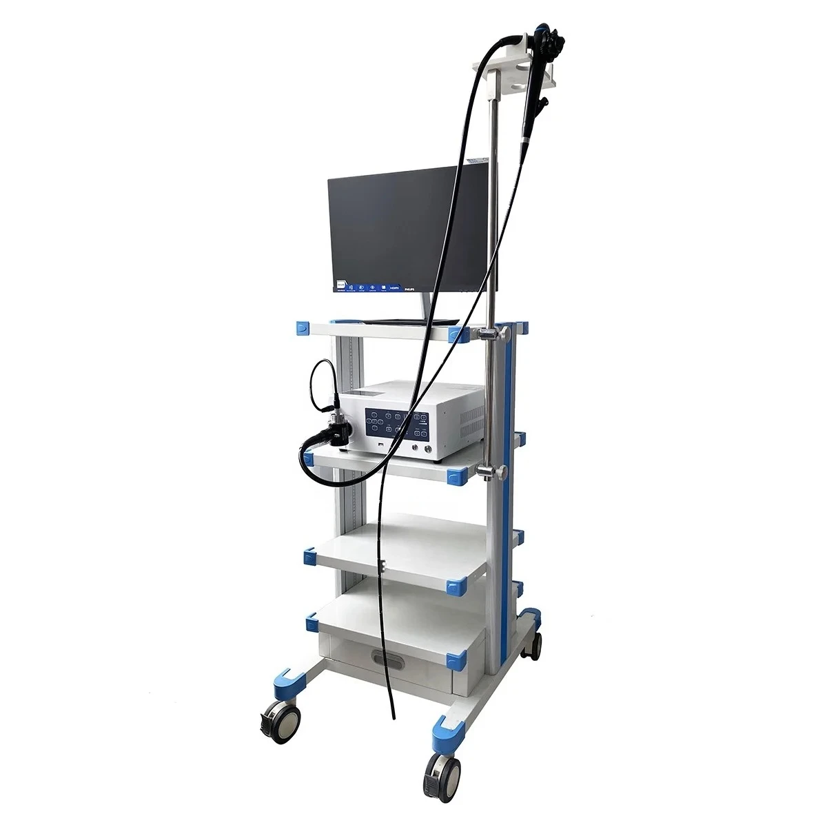 Excellent Quality Veterinary Endoscope Flexible Endoscope Sophisticated Veterinary Equipment