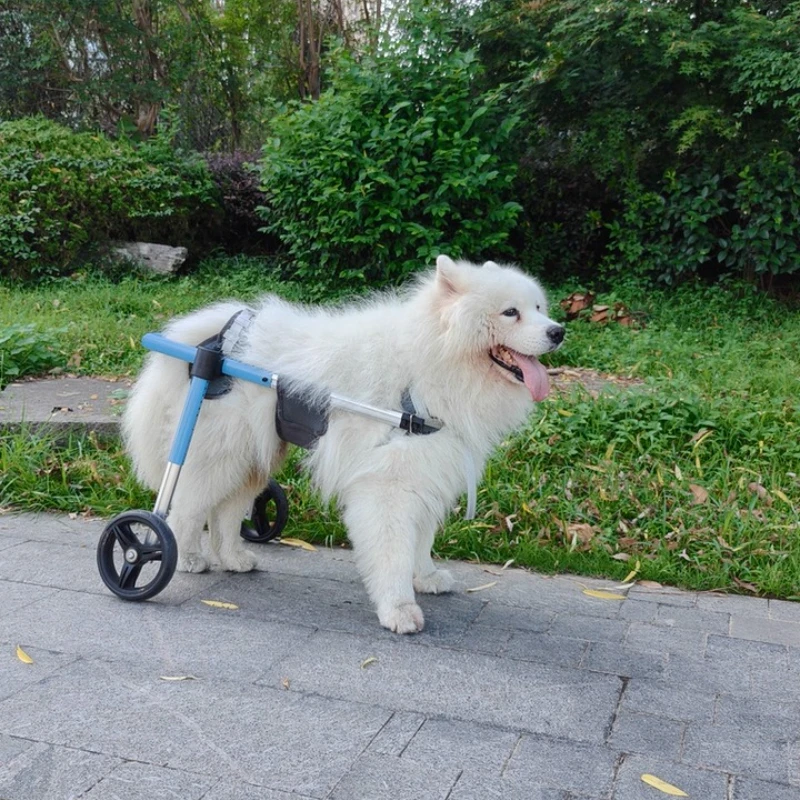 

Luxury Dog Wheelchair for Back Legs Hind Limb Paralysis Rehabilitation Wheelchair for Dogs Auxiliary Support for Disabled Pets
