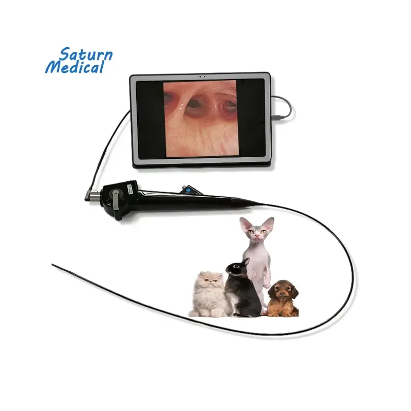 Manufacture ENT Portable Video Flexible Small Animal Pet Vet Veterinary Endoscope Bronchoscope with