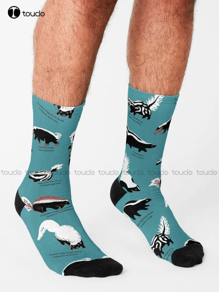 Skunks Of The World: Species Of Family Mephitidae Socks Cycling Socks Christmas New Year Gift Creative Funny Socks New Popular