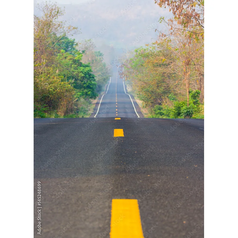 Highway Nature Scenery Photography Backdrops Travel Landscape Photo Backgrounds Studio Props  211228 GLL-08