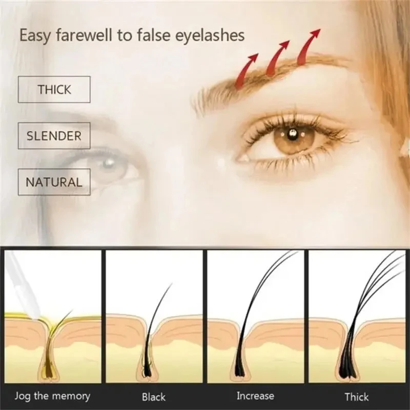 Solución para el crecimiento del cabello de las cejas, promueve el crecimiento de los folículos capilares, proporciona ricos elementos nutricionales