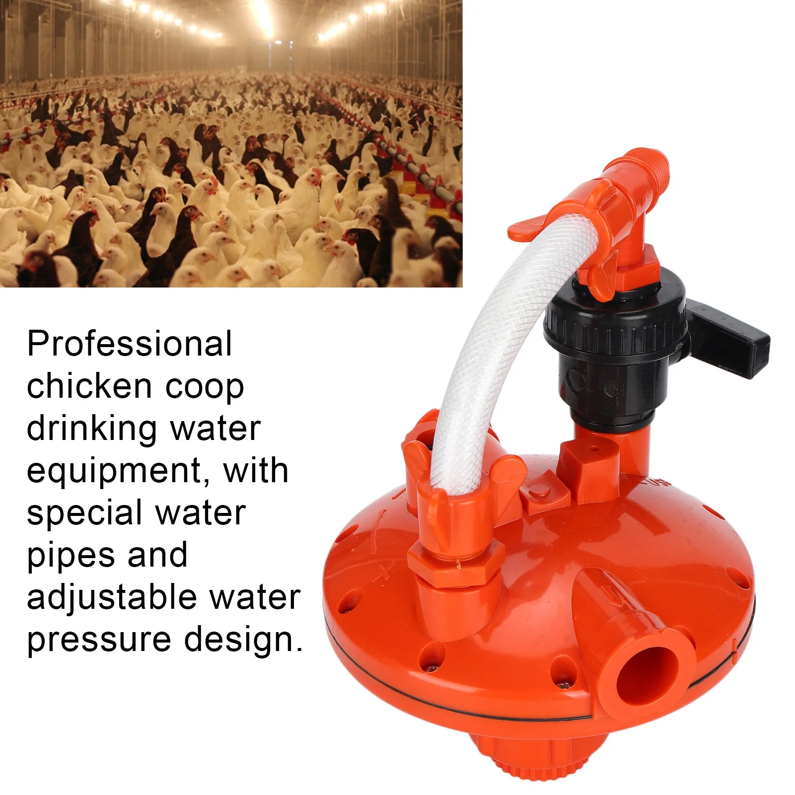 #9 Compare Automatic Livestock Feeders Before You Buy