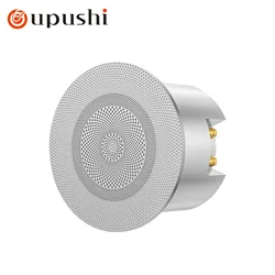 Oupushi altoparlante da soffitto a resistenza fissa incorporato Set di amplificatori audio da soffitto per musica di sottofondo domestica