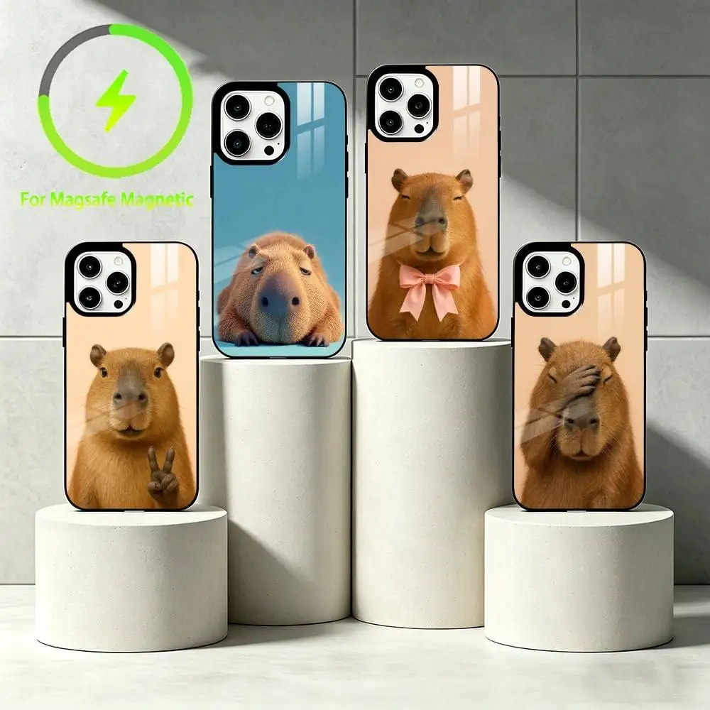 

C-Capibala Phone Case For iPhone 17 16 15 14 13 12 Pro Max Plus for Mirror Wireless Magnetic Cover