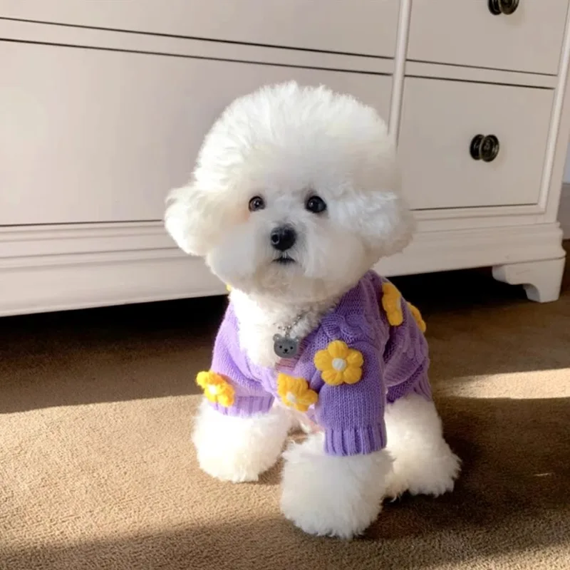 

Pet Knitted Sweater Warm Bichon Winter Clothes Teddy Soft Pullover Puppy Flower Two Legs Clothes Pet Supplies