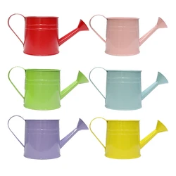 Portable Iron Flower Bucket Retro Designs Watering Can Stylish Watering Can Designs for Plant and Flower Arrangements