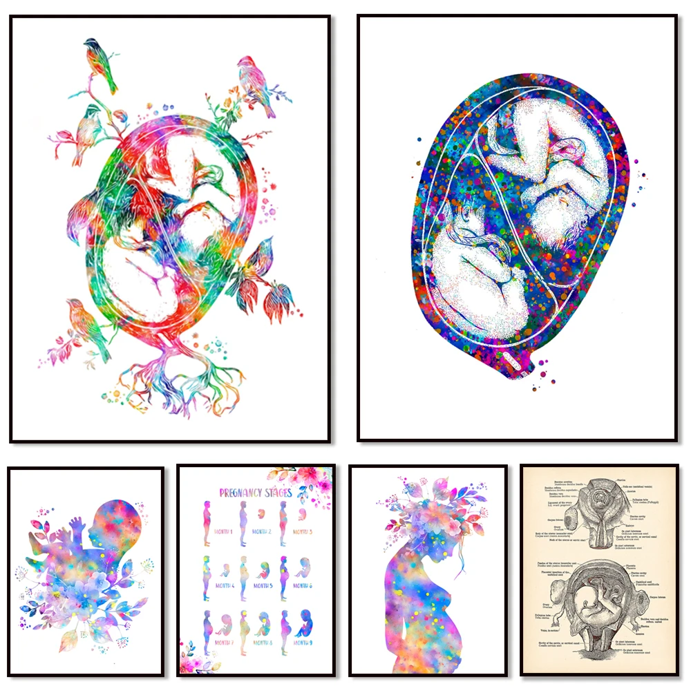Fetal Development Anatomy Poster, Twin Uterus Baby Poster, Intrauterine Baby Embryo Anatomy, Fetal Development, Pregnancy Reveal