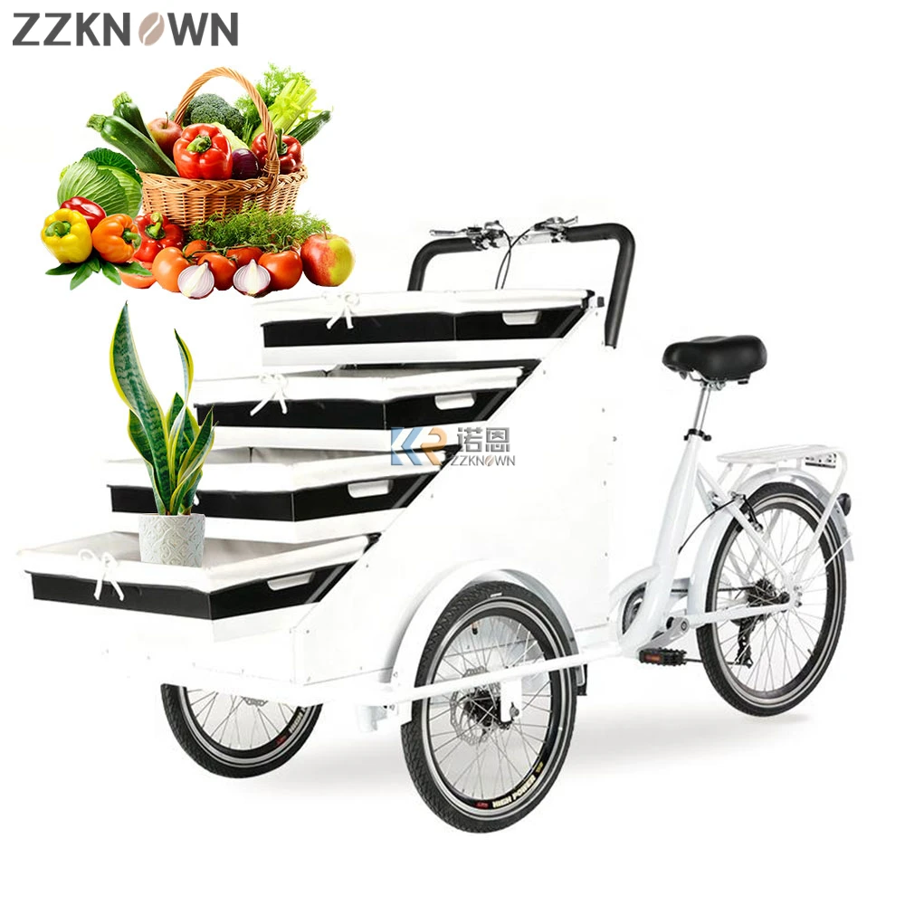 

Fashion Mobile Street Vending Carts Pedal and Electric Food Fruits Display Kiosk Cargo Tricycle Adult Bike for Sale