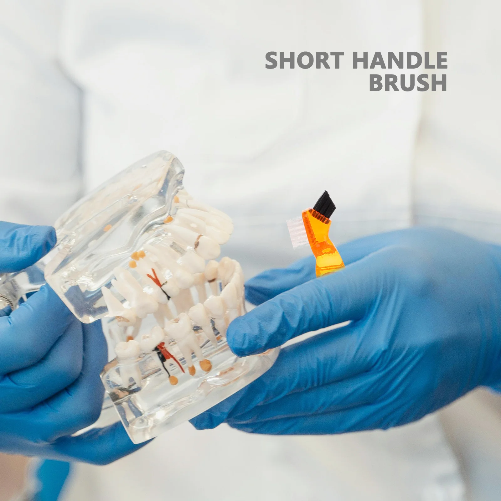 

4 шт., щетка для чистки зубных протезов, короткая ручка, нескользящая зубная щетка, очиститель для вставных зубов, стоматологическая щетка-фиксатор, эргономичная, удобная