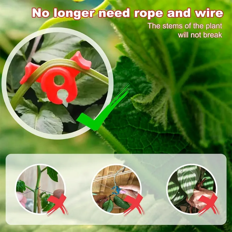 100/10 Stuks Plantenklem Buidapparaat Bloem Wijntakken Plant Stengel Training Clips Plantengroei Buiger Controle Klemmen