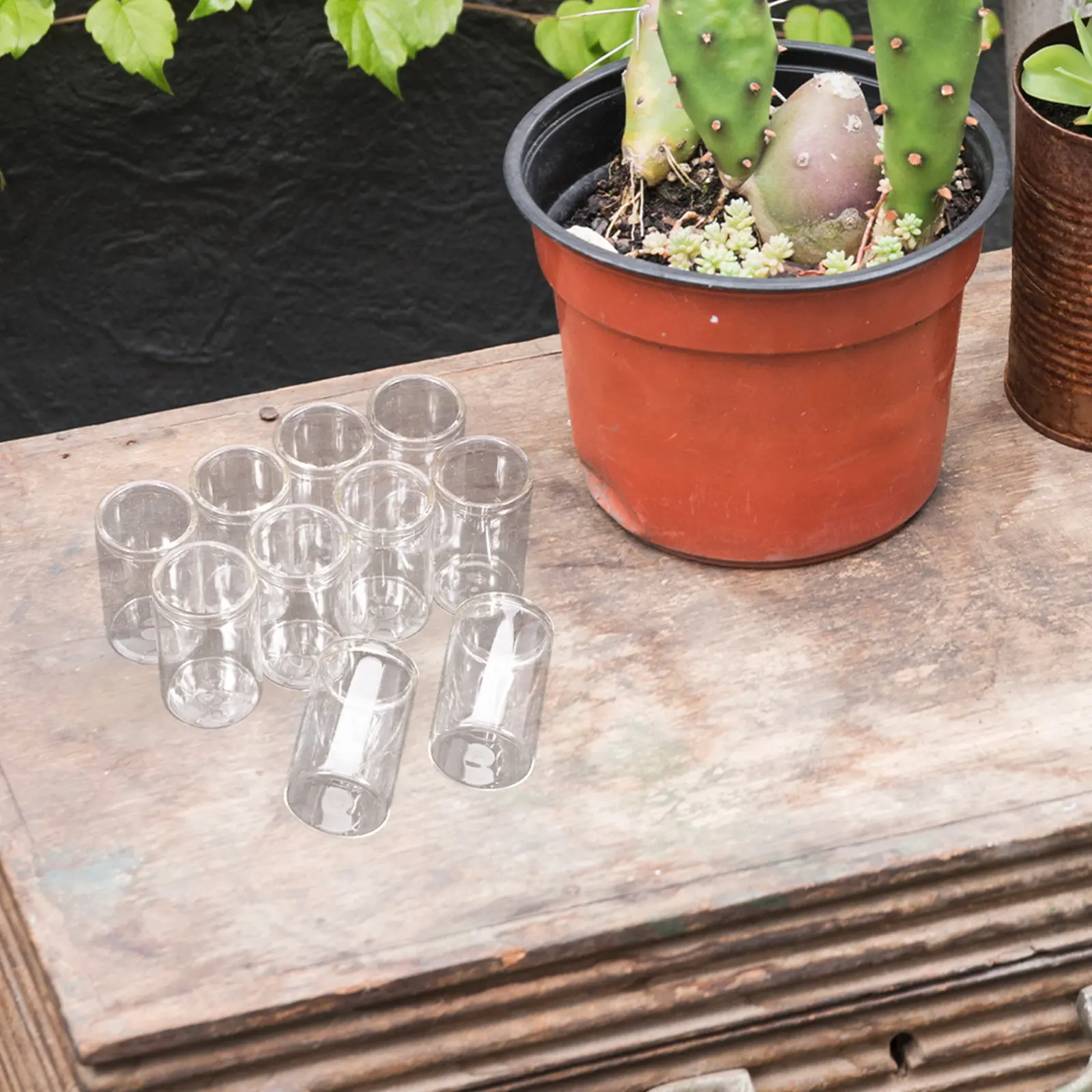 10Pcs Mini Succulent Flower Vases Glass Test Tube Micro Landscape Bottles Hydroponic Plant Containers Small Terrarium Decor