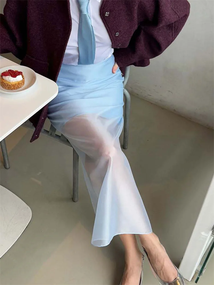 Tossy Summer See-Through High Waist Long Skirt Female Slim Patchwork Casual Solid Commute Y2k Skirt Women's Mesh Maxi Skirt 2025