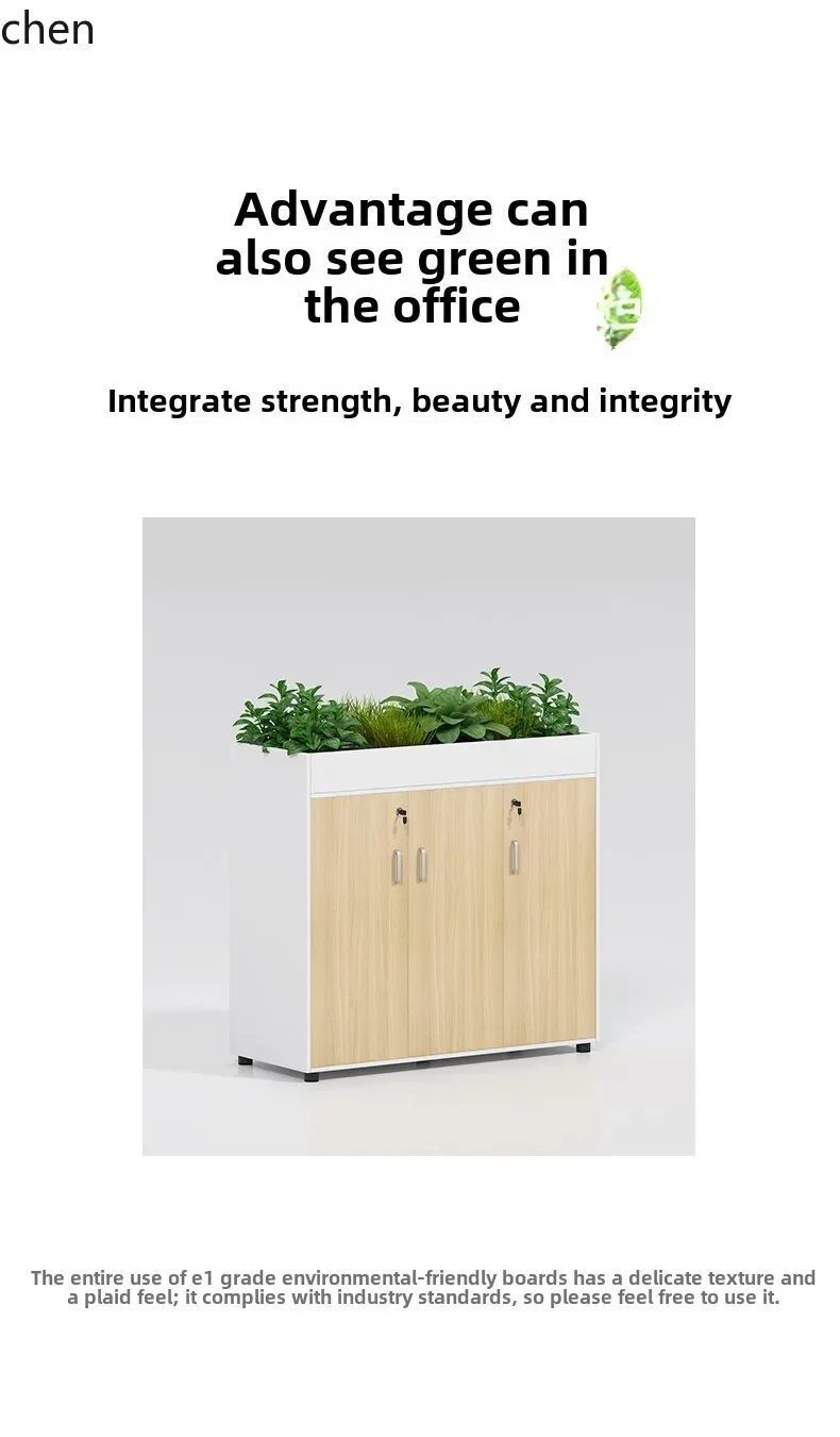 HYS modern simple light luxury Office data storage utility cabinet Floor-to-ceiling office cabinet storage cabinet