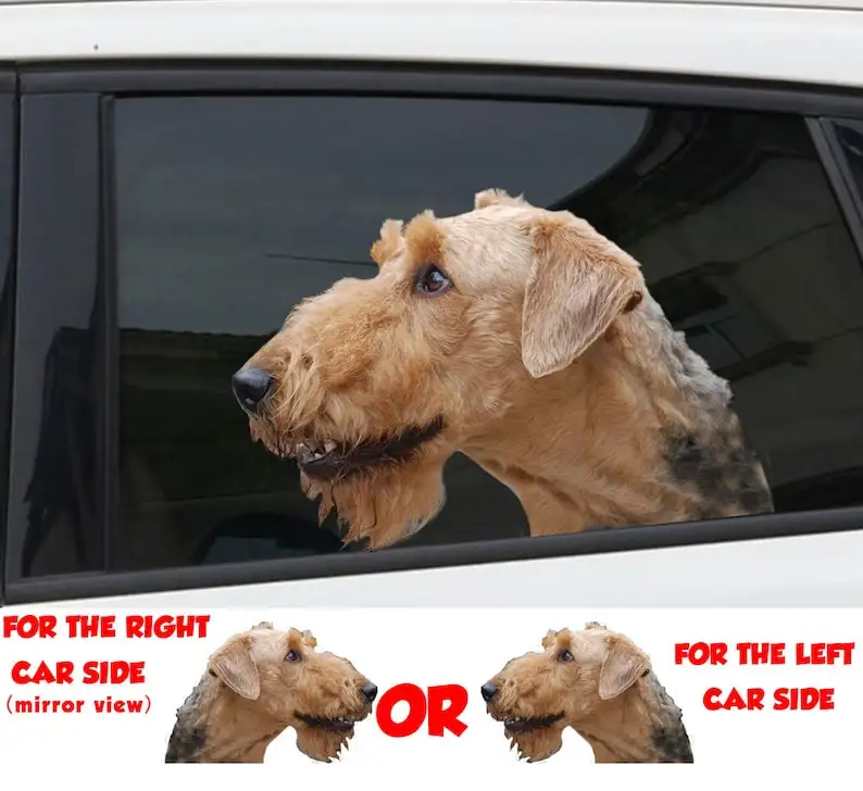 Airedale Terrier window sticker , 3D sticker, funny sticker, Airedale decal