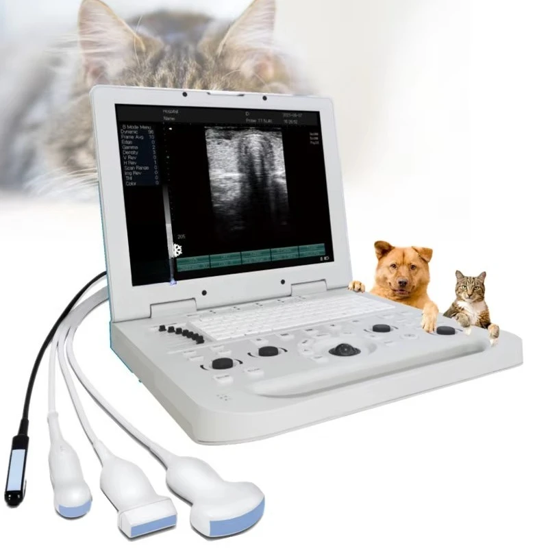 Veterinary Portable Sonar Ultrasound for Small Animals Goat Sheep Ultrasound