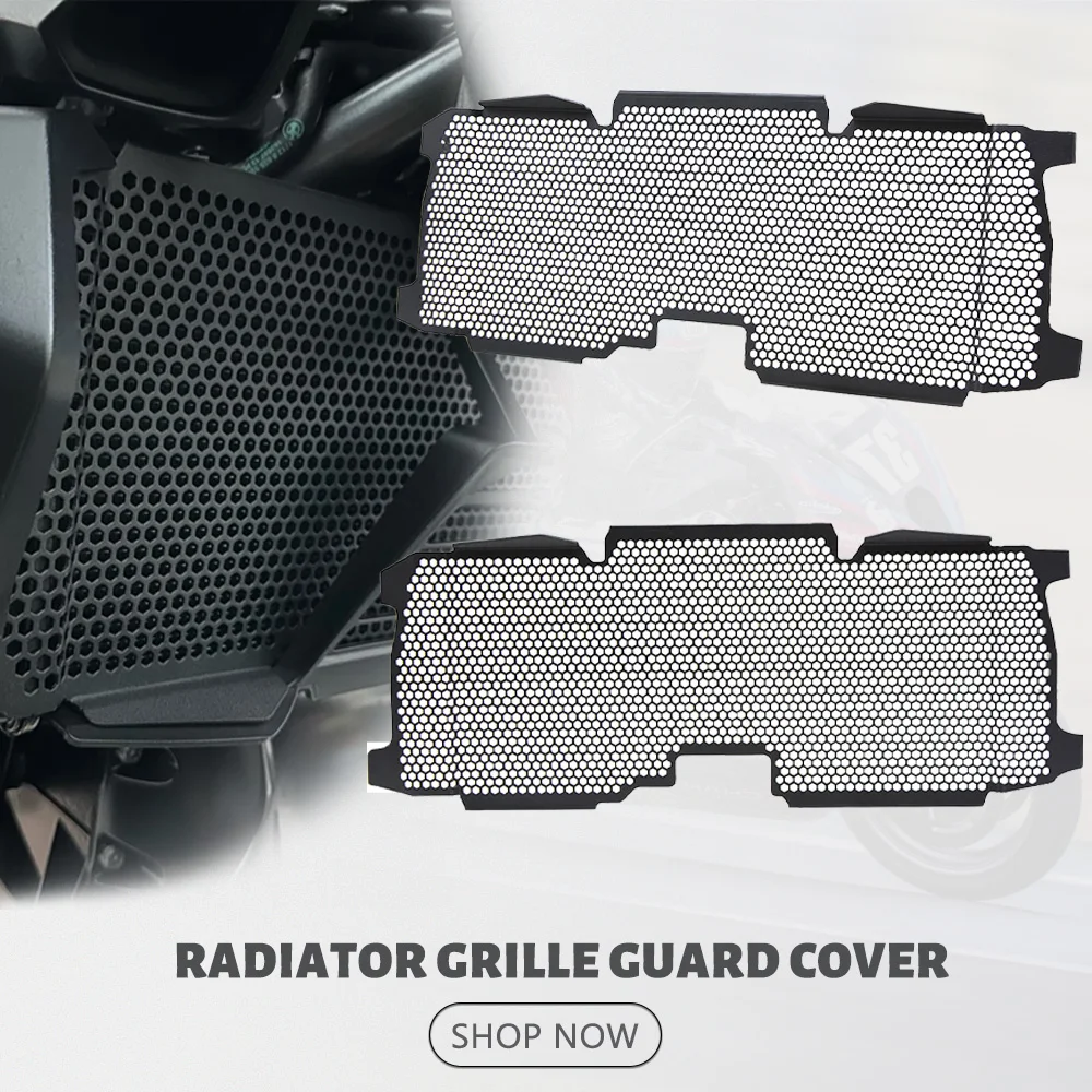

2024 R1250R R1250RS Motorcycle Radiator Grille Guard Cover Protector For BMW R1250 R 1250 R RS 1250R 1250RS 2015-2021 2022 2023