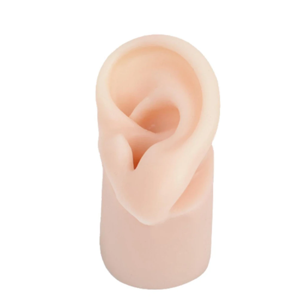 Soft Silicone Ear Model Fake Ear learning Tools Delicate Texture Left