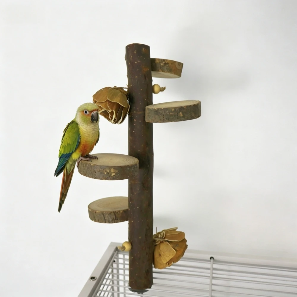 Thumbnail 3 - #26 Bird Perch Stands Comparison Guide