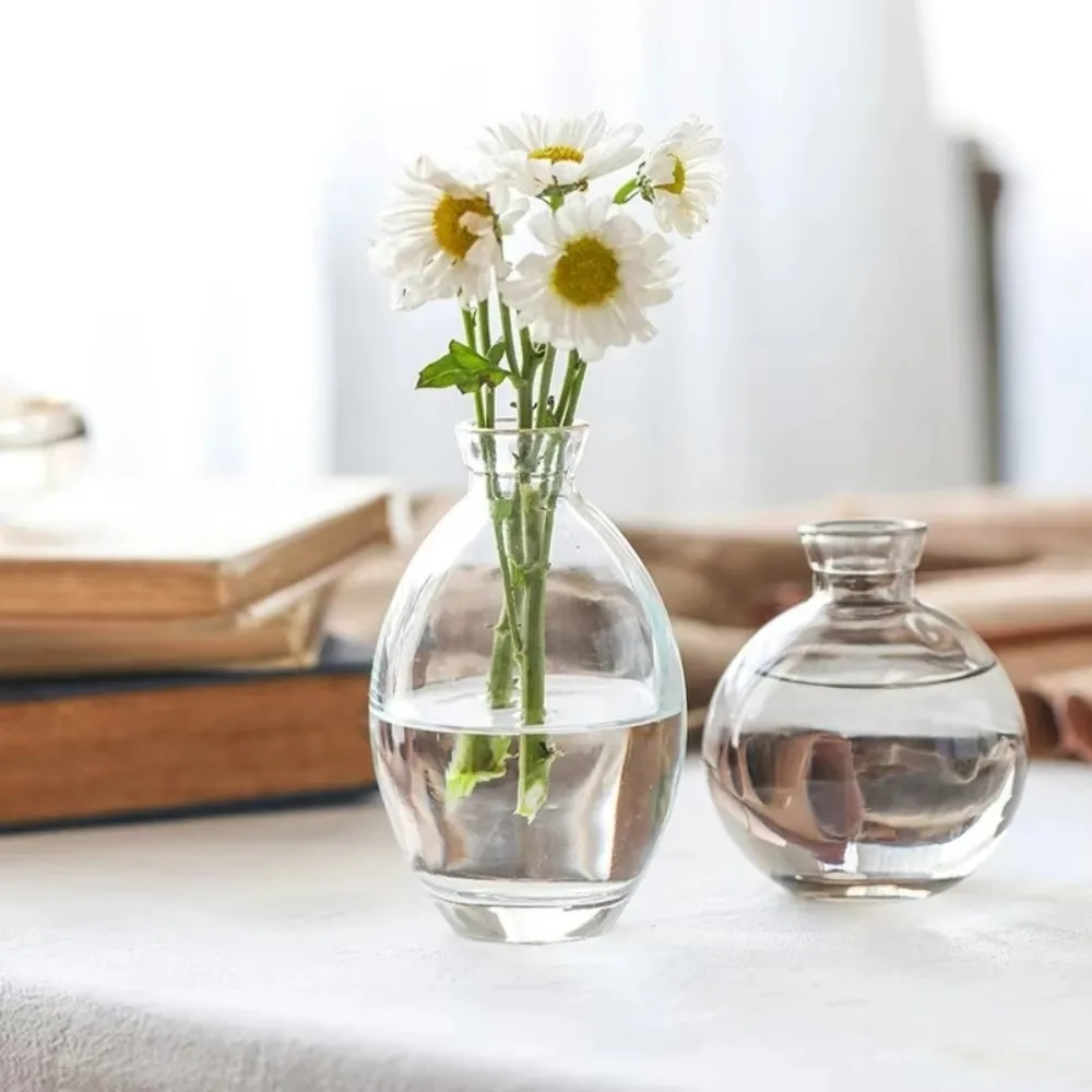 3PCS Nordic Style Transparent Glass Vase Transparent Water Nourishing Hydroponic Vase Minimalist Small Plant Pots Kitchen