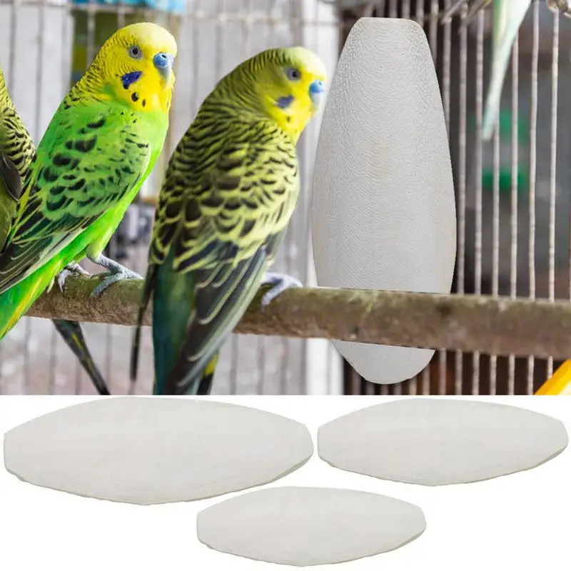 10pcs Cuttlebone For Birds Cuttlefish Bone Parrot Chewing Toys Creative Calcium & Sharp Beaks Cuttle Bone For Parakeets Snails