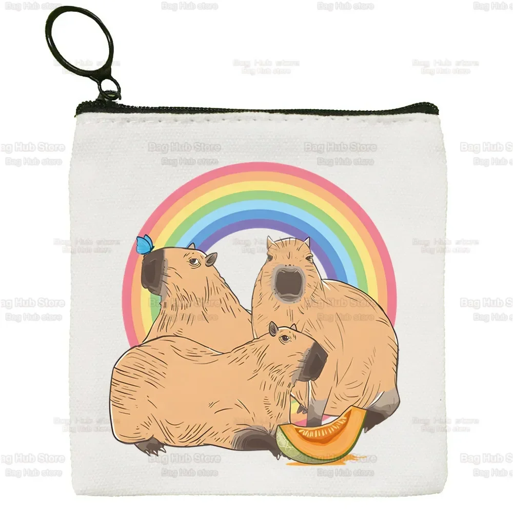 กระเป๋าใส่เหรียญผ้าลายสัตว์ตลกๆ คาปิบารา กระเป๋าใส่เหรียญแบบกำหนดเอง ลายภาพประกอบ ซองใส่กุญแจ กระเป๋าผ้าใบเล็กเรียบง่าย กระเป๋าใส่เหรียญแบบใหม่สุดสร้างสรรค์