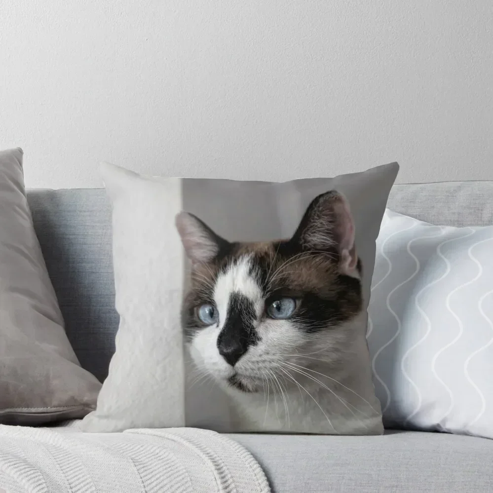 

Snowshoe Cat on White Throw Pillow Decorative Cushion Ornamental Pillow Room decorating items pillow