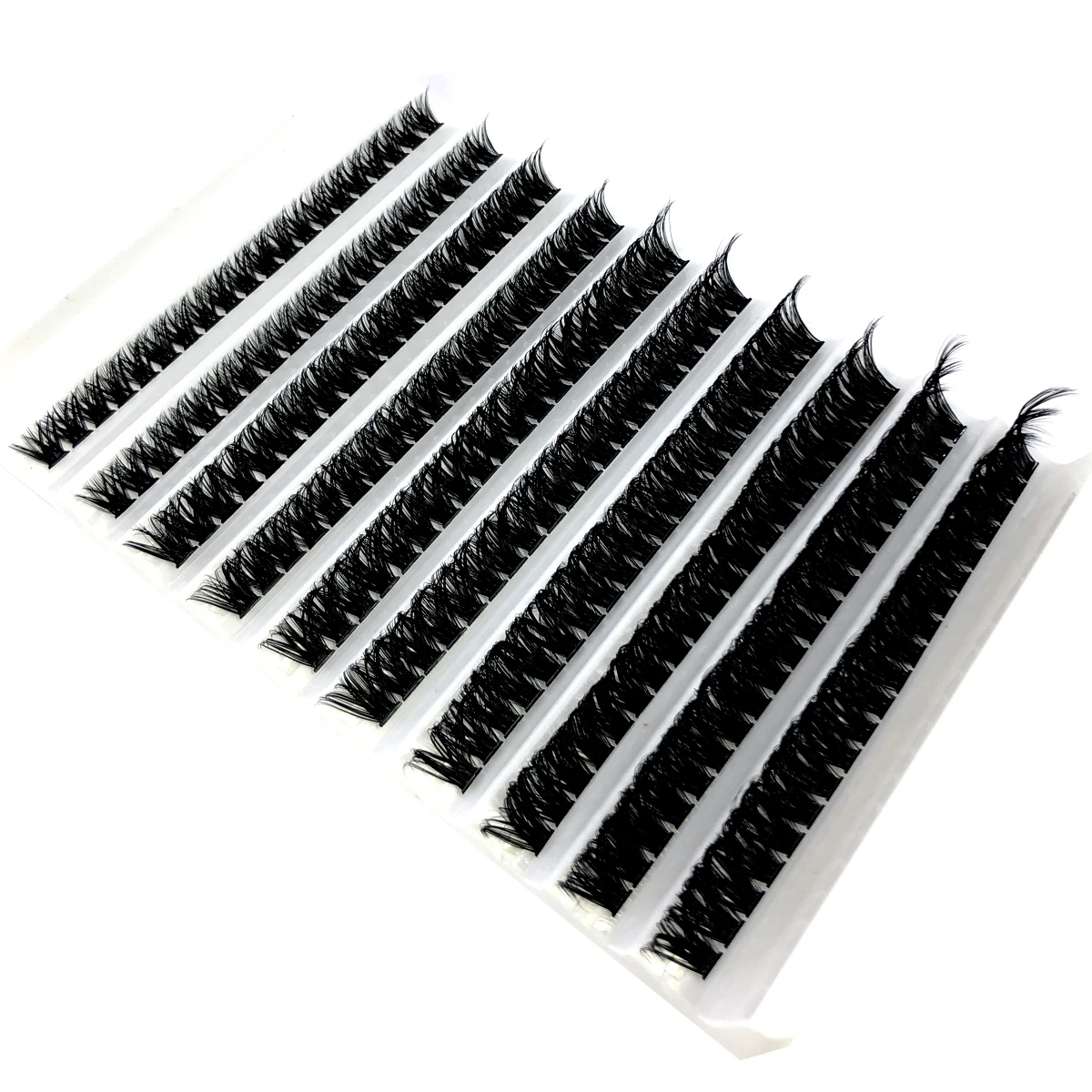 AMSDCN 60D/80D Pra Diproses Be - Eyelash Extension Process ulasan dan harga