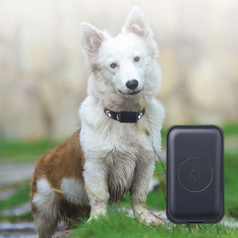 Waterproof Mini GPS Pet Locator Collar, 90 Days Historical Route Record, Quadruple Precise Positioning Remote Control Anti-Lost