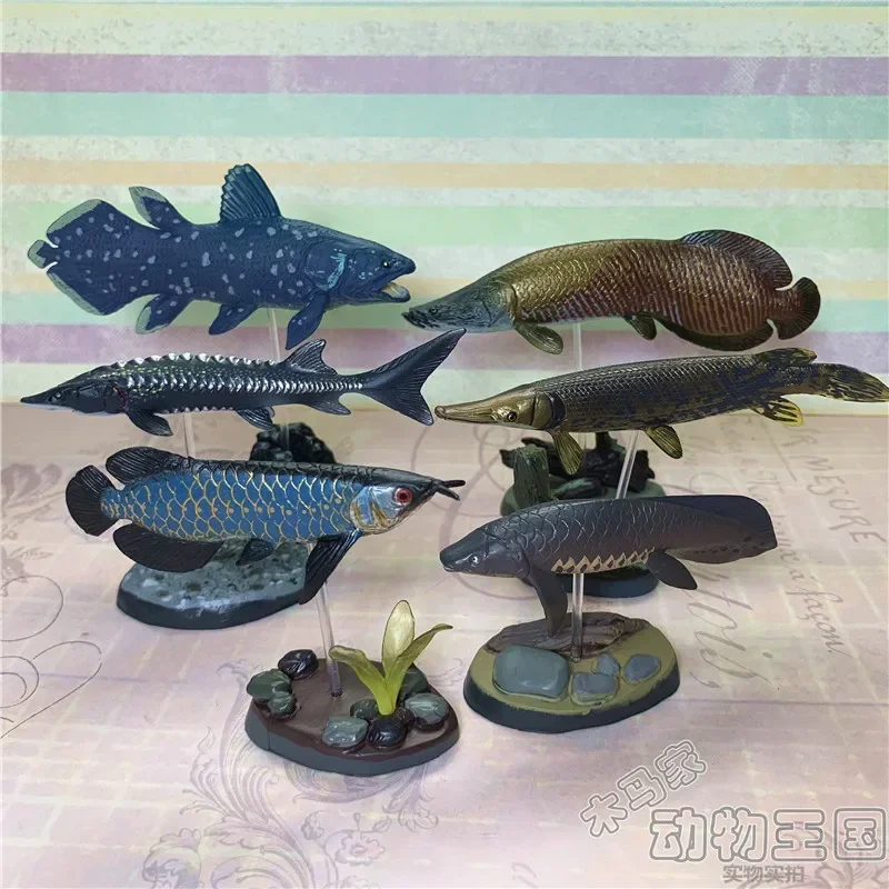 Original Japan Colorata Ancient Fish Museum Marine Organism Models Action Figure Ornaments Collection Model Gift