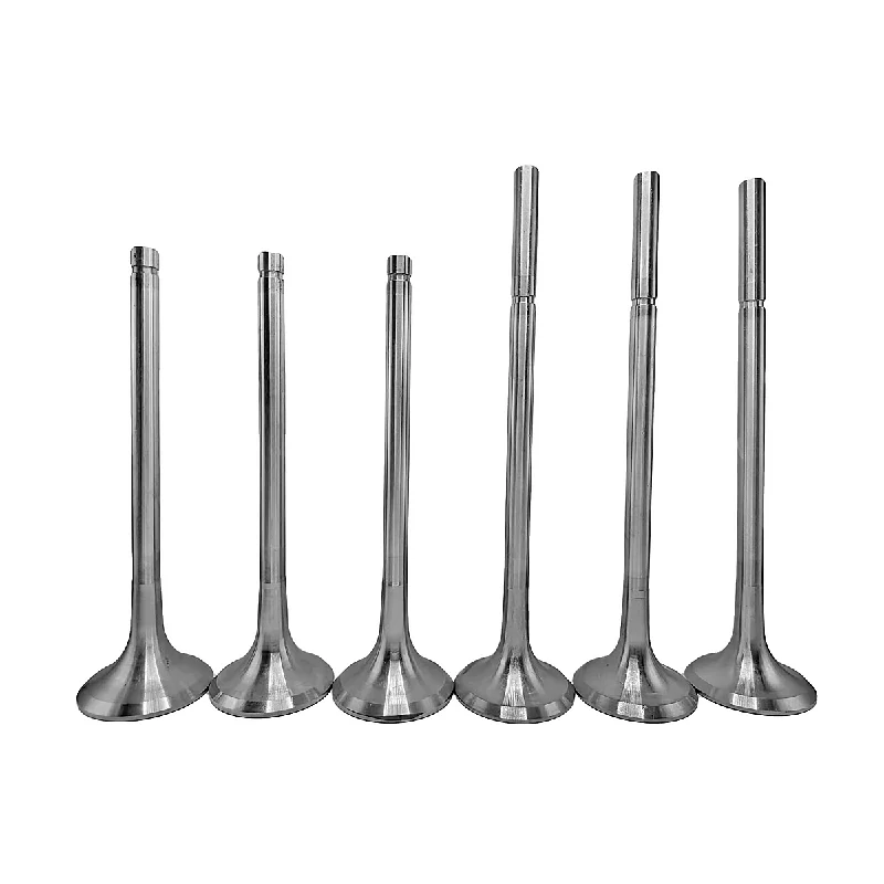 

High Performance Reduce Replacement Costs Intake and Exhaust Valves for KAMAZ Engines