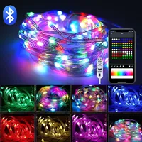 Fantasy Color LED String Lights USB 5V Bluetooth APP Control Segmented LED Dimming Music Mode Multiple Scene For Christmas Decor