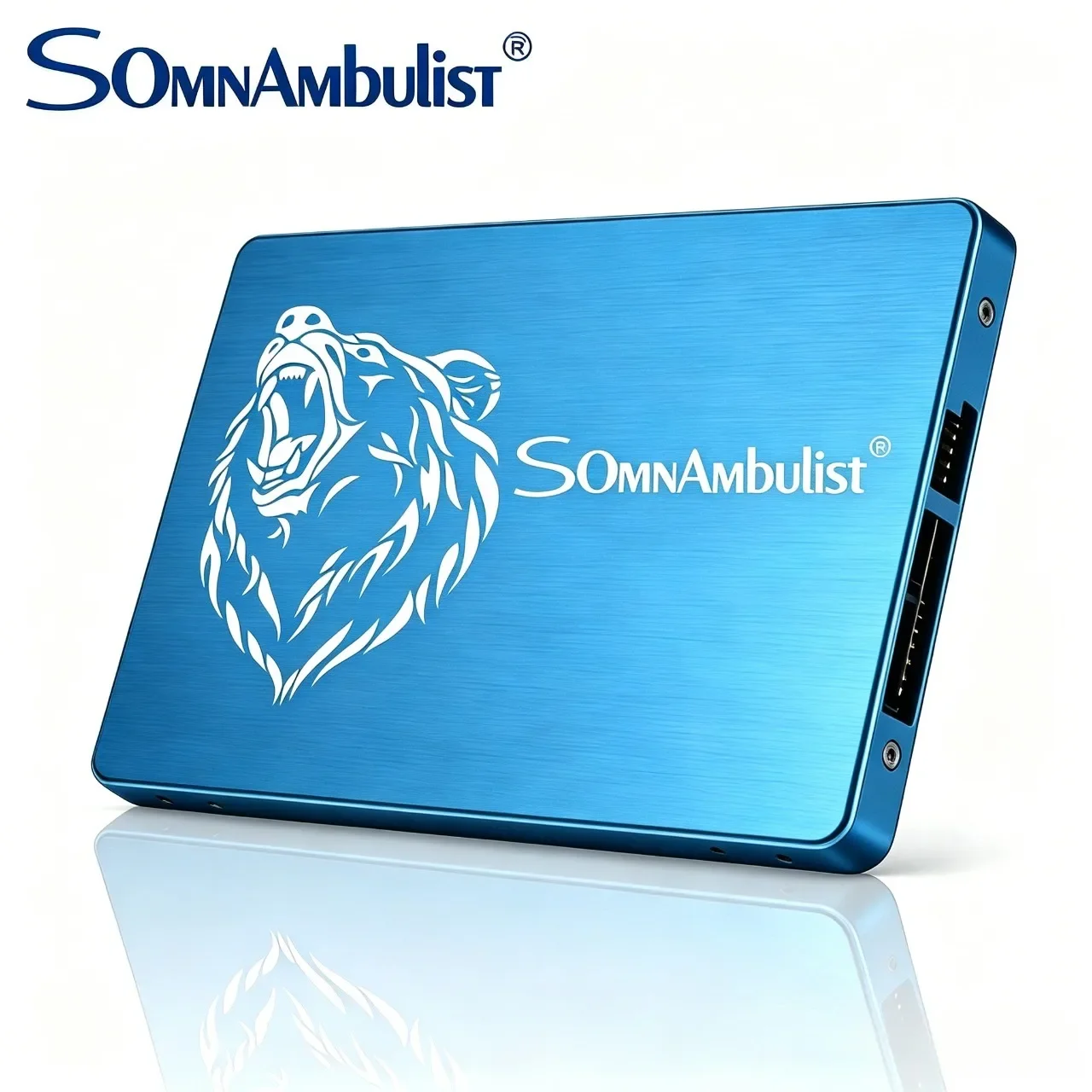 

Somnambulist SSD SATA III 6Gb/s Internal Solid State Drive 2.5” 7mm 3D NAND Chip Up to 550MB/s (Blue Bear 60GB–2TB)