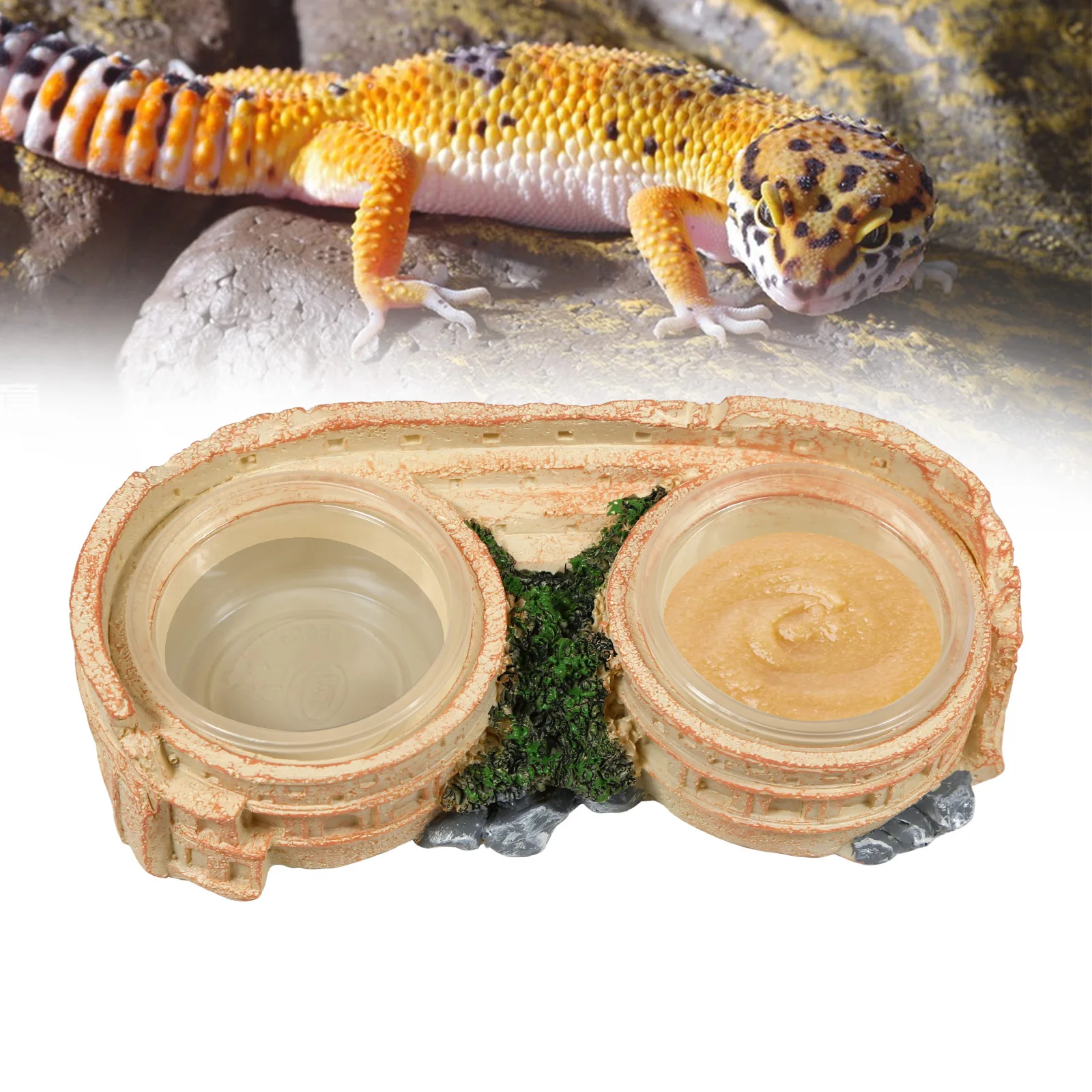 

Миска-поилка и кормушка 2-в-1 для рептилий – прочный лоток из полимерной смолы с легко моющимися чашами для рептилий